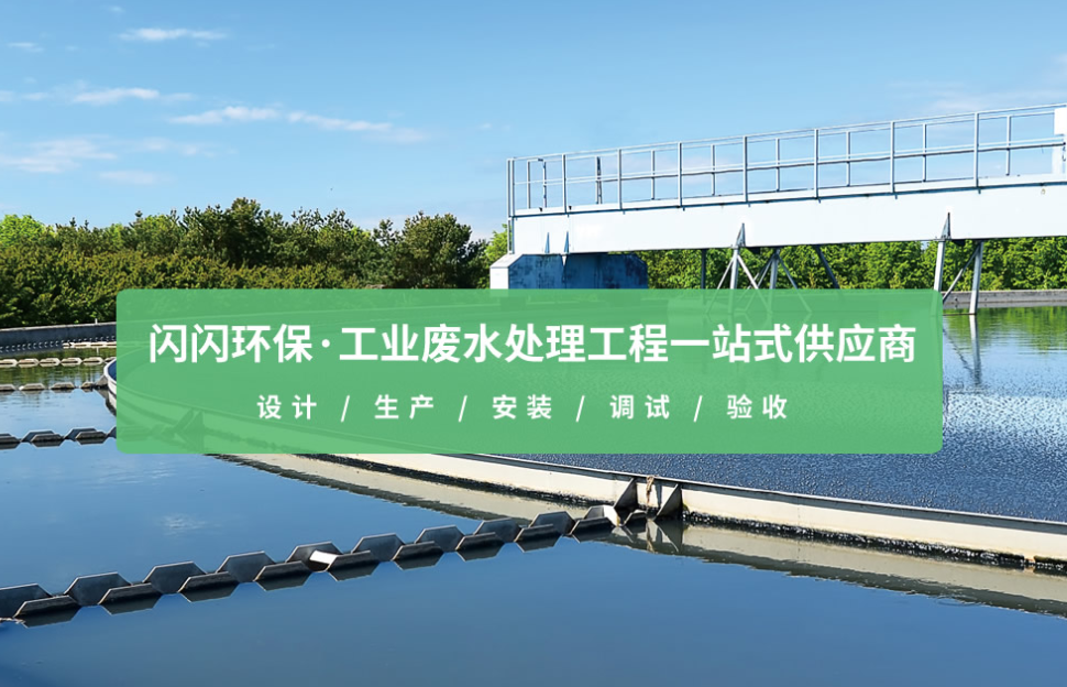 闪闪控股品牌官网案例 - 凌壹科技高端网站建设作品